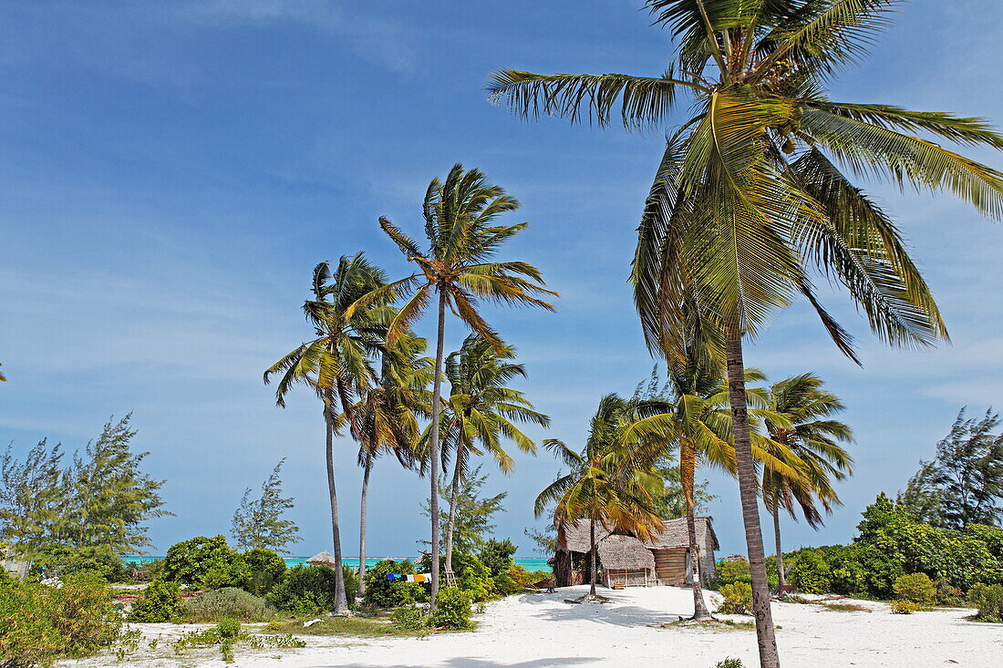 Strand, Dhau Inn Hotel, Paje, Zanzibar, Tanzania, Africa