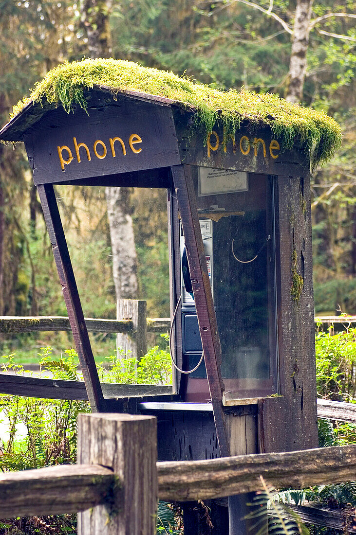 Moss Covered Phone Booth, Forks, WA, US