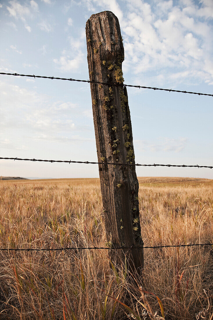 Barbed Wire Fencing and Wooden Post, Rural Eastern Washington, USA