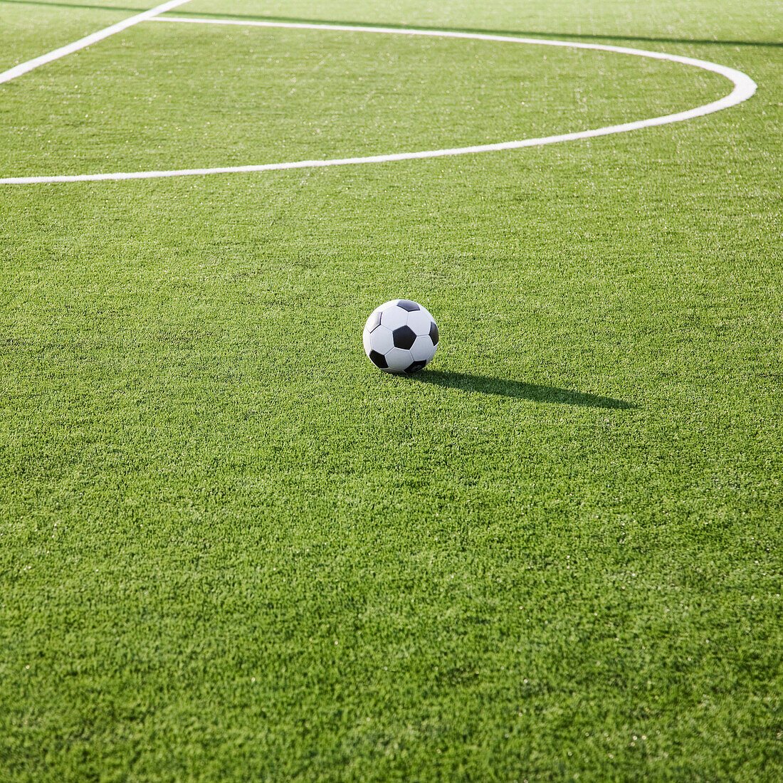 Soccer Ball on Soccer Field, Tukwila, Washington, USA