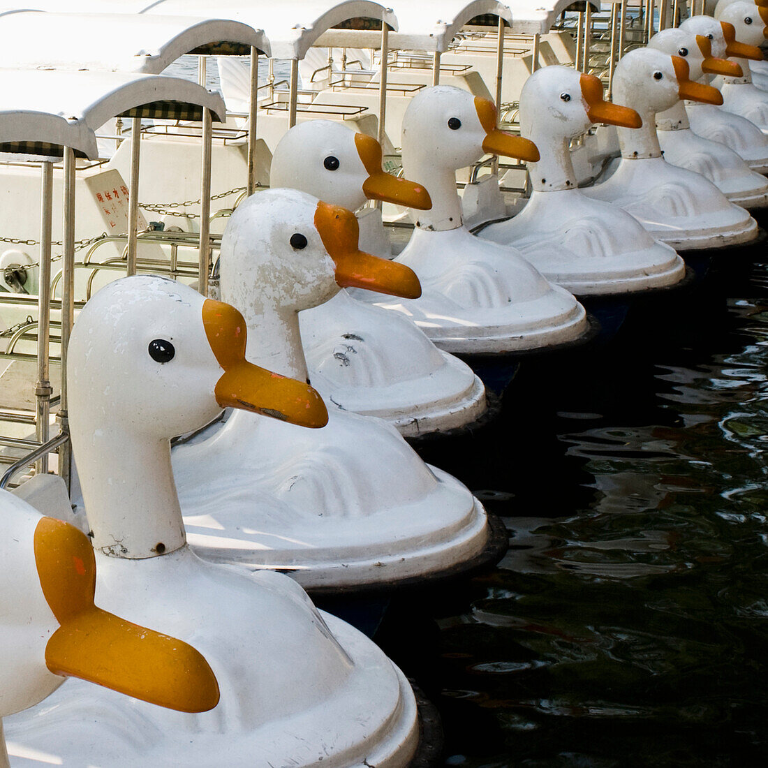 Paddle Boats With Swan Heads at Beihai Park, Beijing, China