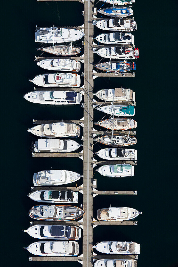 Boats in a Marina, Seattle, WA, USA