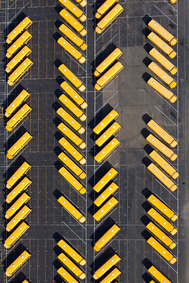 Parked School Buses In A Parking Lot, Seattle, WA, USA