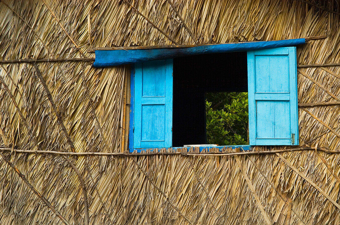 Blue Shutters on a Palm-Thached House, Mekong Delta, Viet Nam