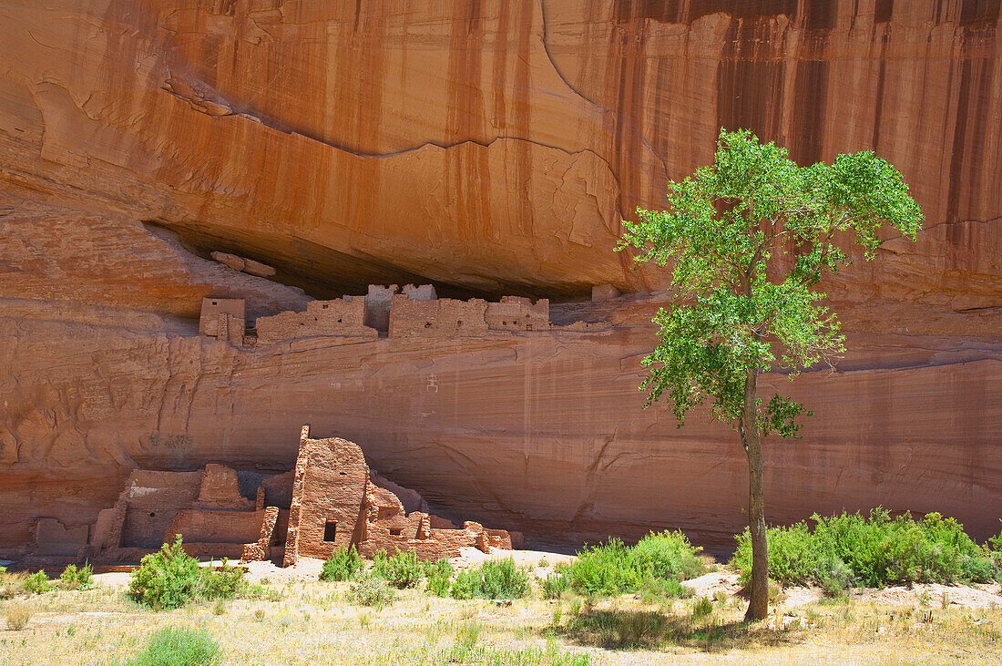 Indian Cliff Dwellings, Canyon de Chelly National Monument, AZ, USA