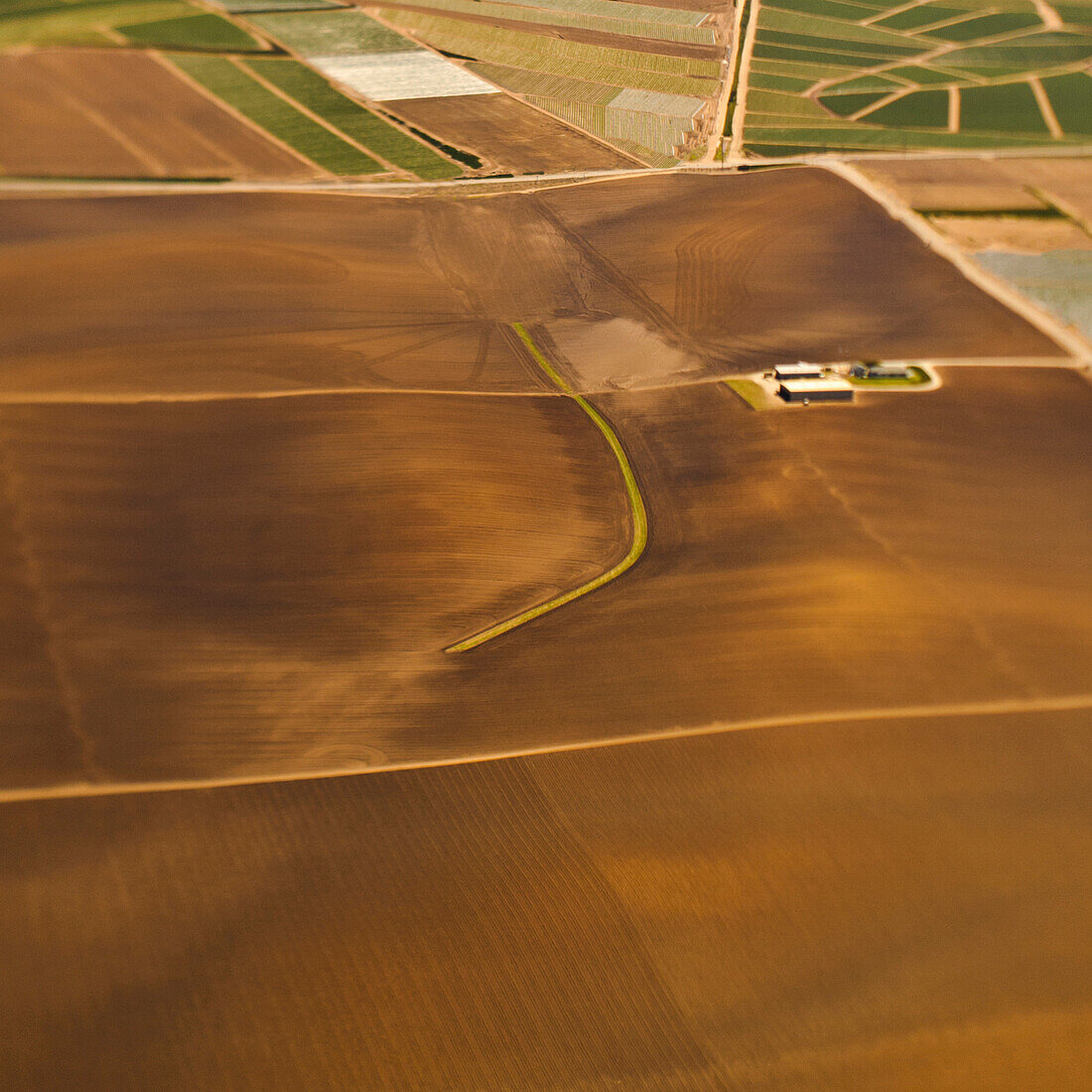 Farmland Crops, San Mateo County, California, USA