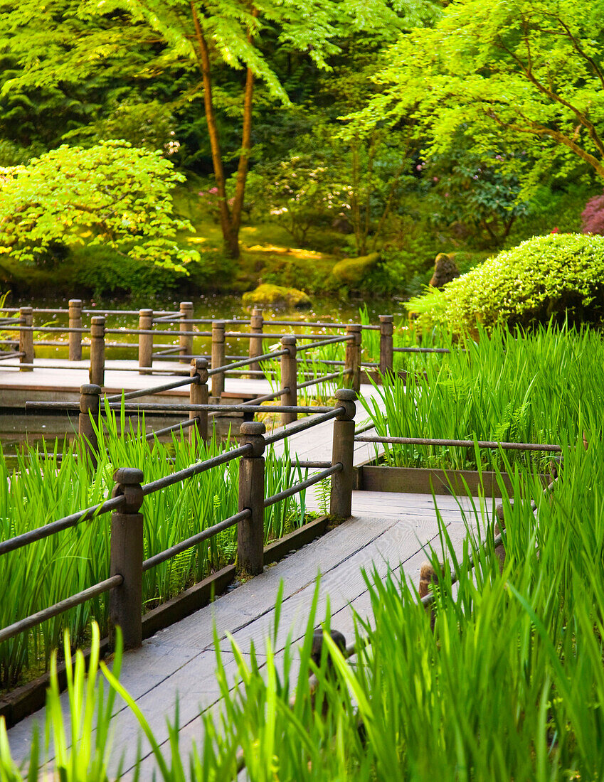 Walkway in Japanese Garden, Portland, Oregon USA