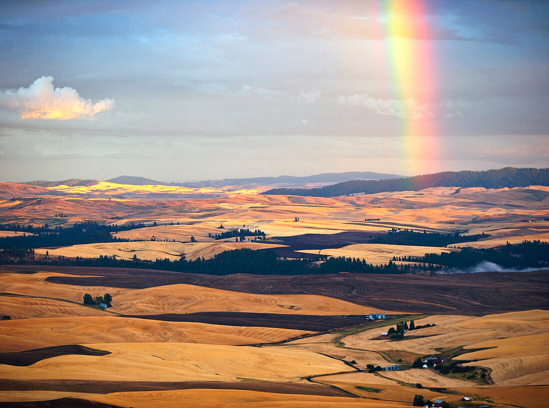 Farmland with Rainbow, Stepp Toe Butte, Washington USA