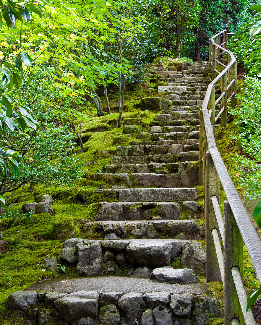 Outdoor Stone Stairway, Portland, OR  USA