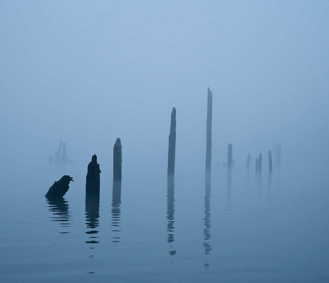 Pier Pilings in Water, n/a