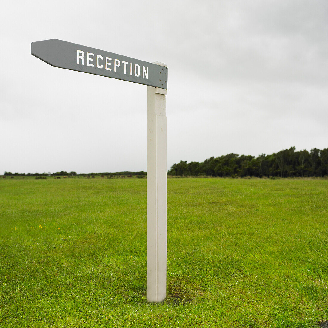 Reception Sign, New Zealand, South Island, Haast