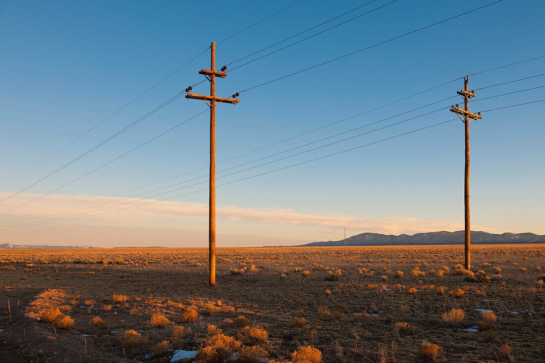 Power Poles in The Desert, Socorro, New Mexico, USA