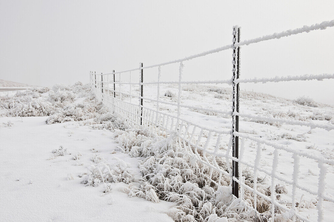 Snow-Covered Fence in Rural Landscape, Salt Lake City, Utah, USA
