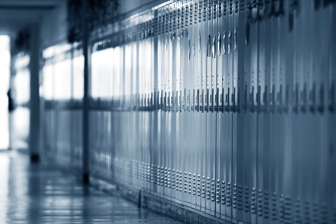 Grade School Lockers, Winston-Salem, NC, USA