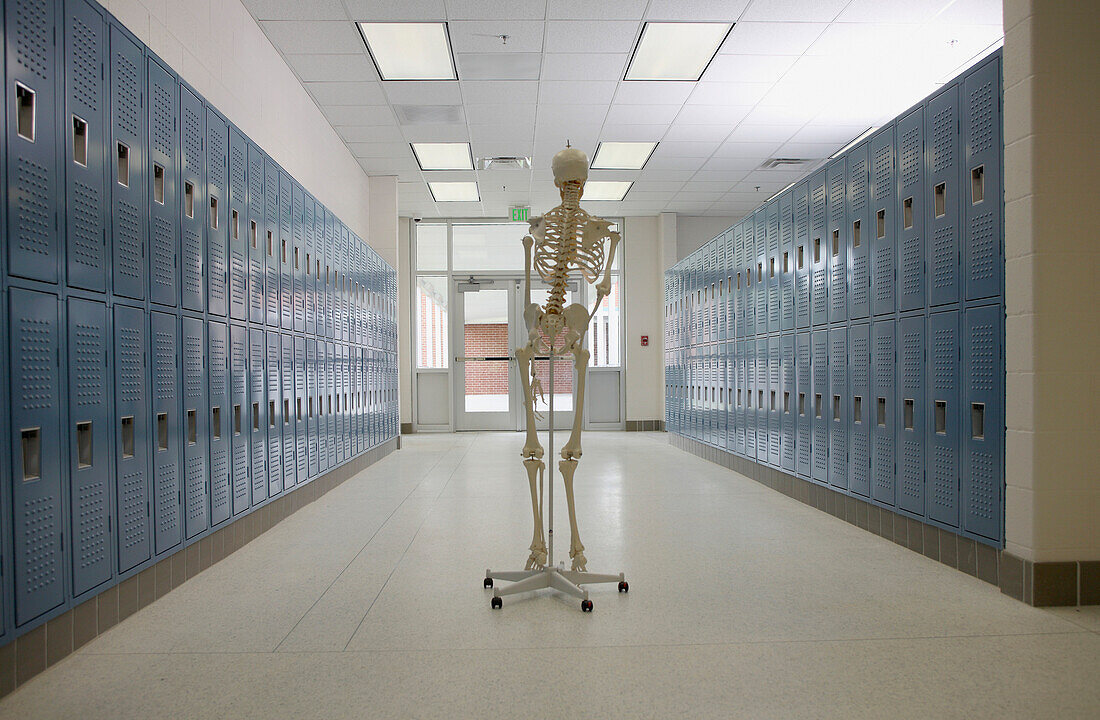 Skeleton in High School Hallway, Winston-Salem, NC, USA