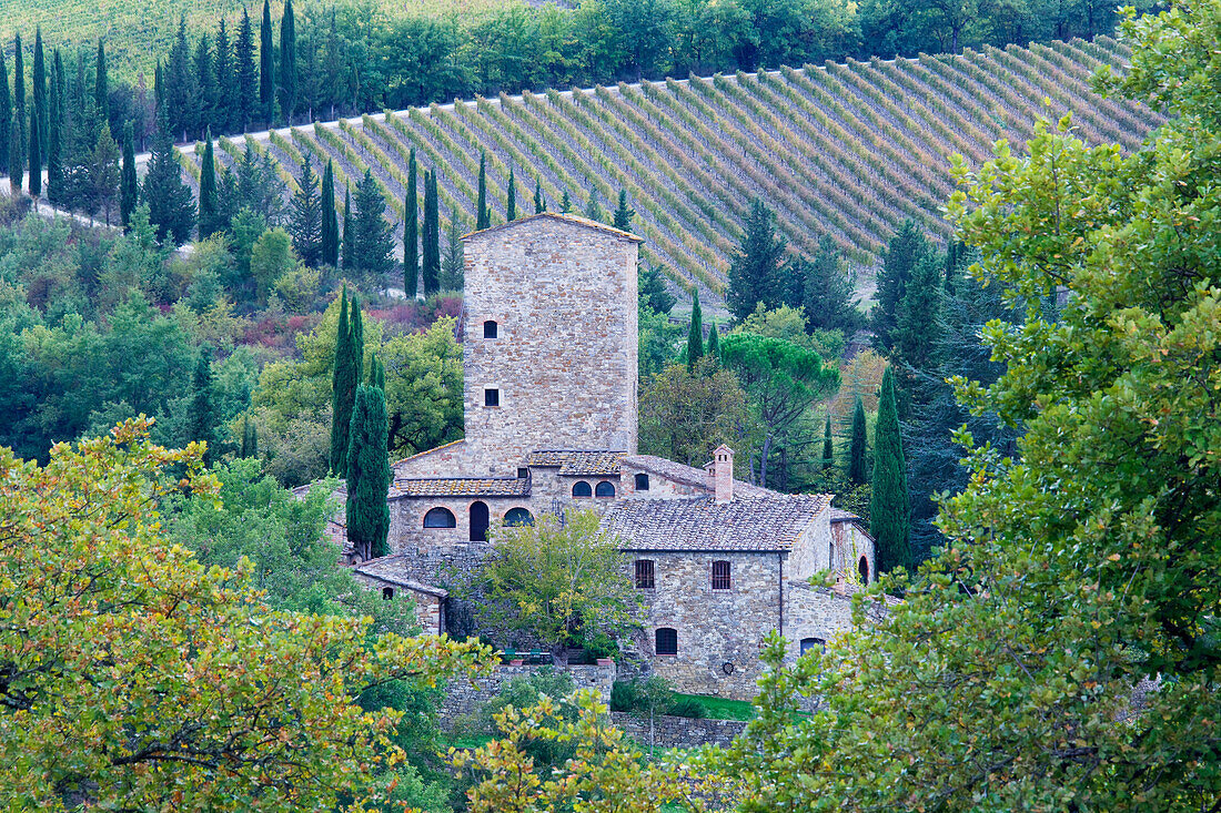 Stone Farmhouse near Montefioralle, Panzano in Chianti, Tuscany, Italy
