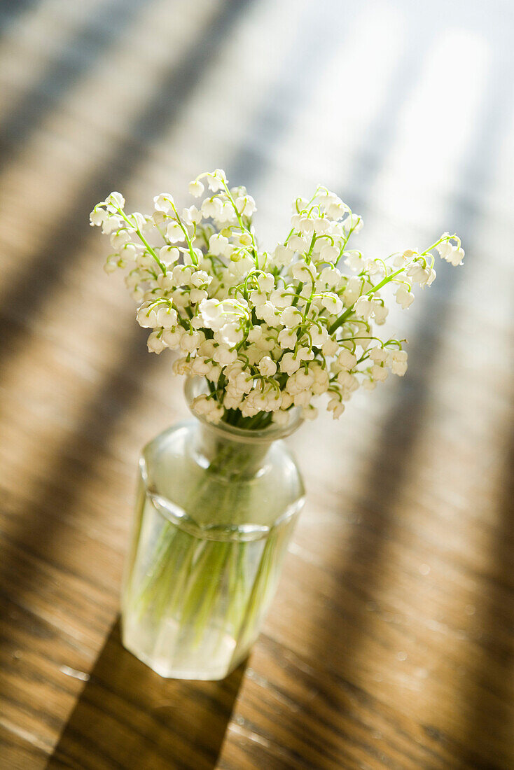 Maiglöckchen in Vase