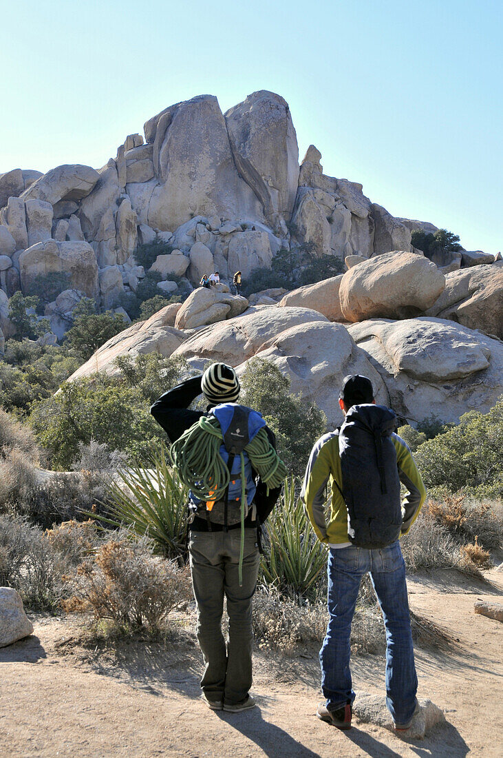 Hikers at Joshua Tree National Park, south California, USA, America