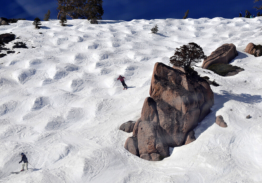 Skiers on the slopes, ski area Squaw Valley near Lake Tahoe, North California, USA, America