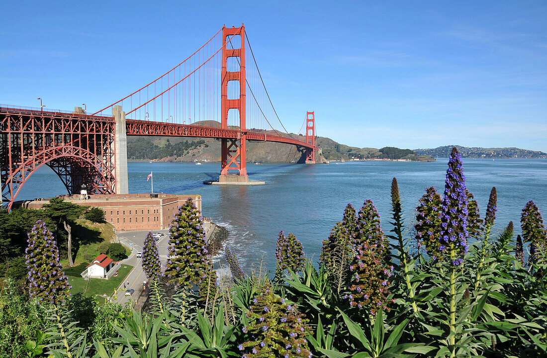 View of Golden Gate Bridge in the sunlight, San Francisco, California, USA, America