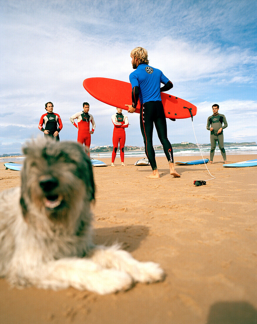 Surf instructor with dog and pupils, Escuela cantabria de surf, Playa de Somo near Santander, Cantabria, Spain