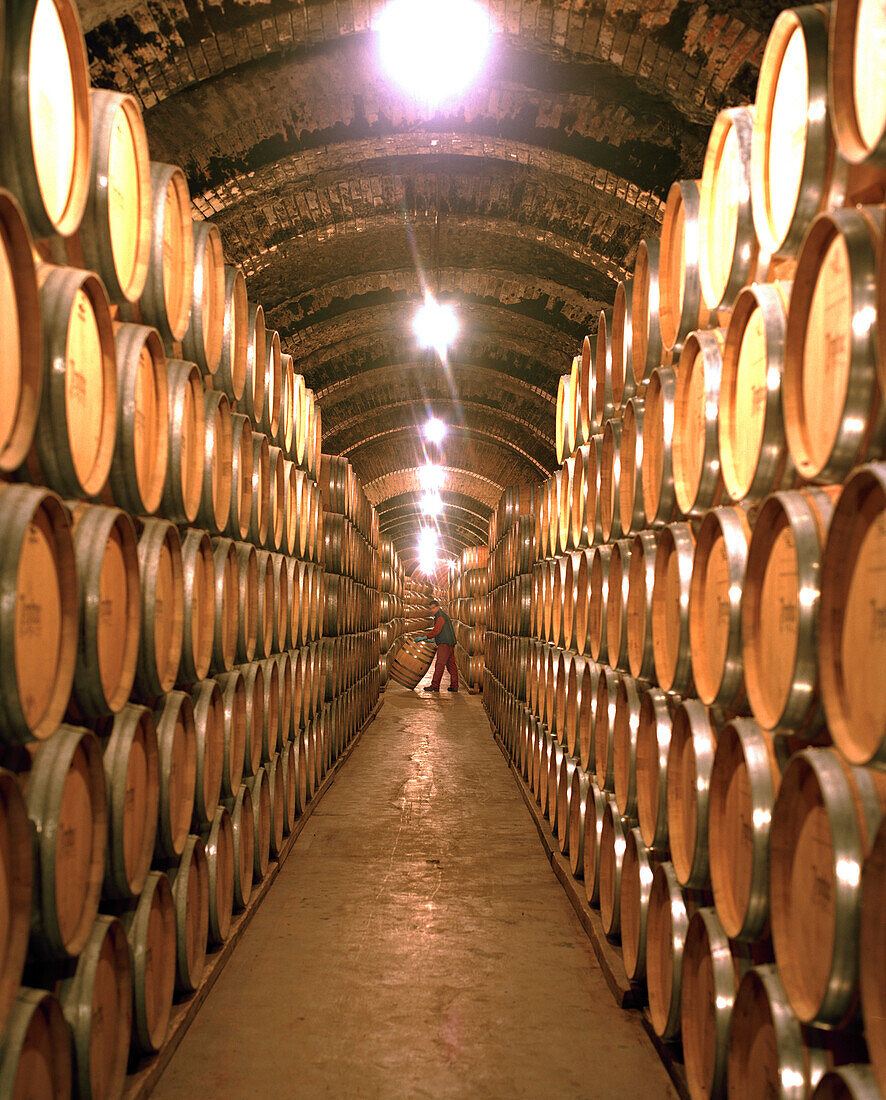 Wine barrels in the cellar of Bodega Protos, in the hill underneath Castillo Penafiel, Castile and León, Spain