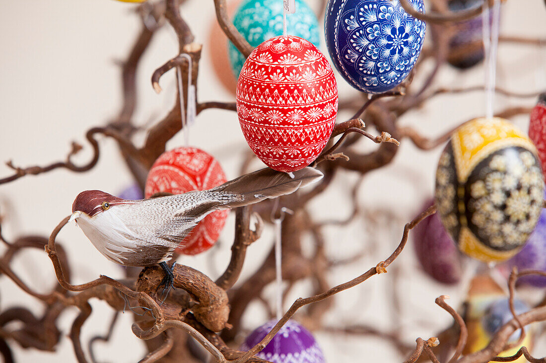 Osterstrauch mit gekratzten Ostereiern, Ostern