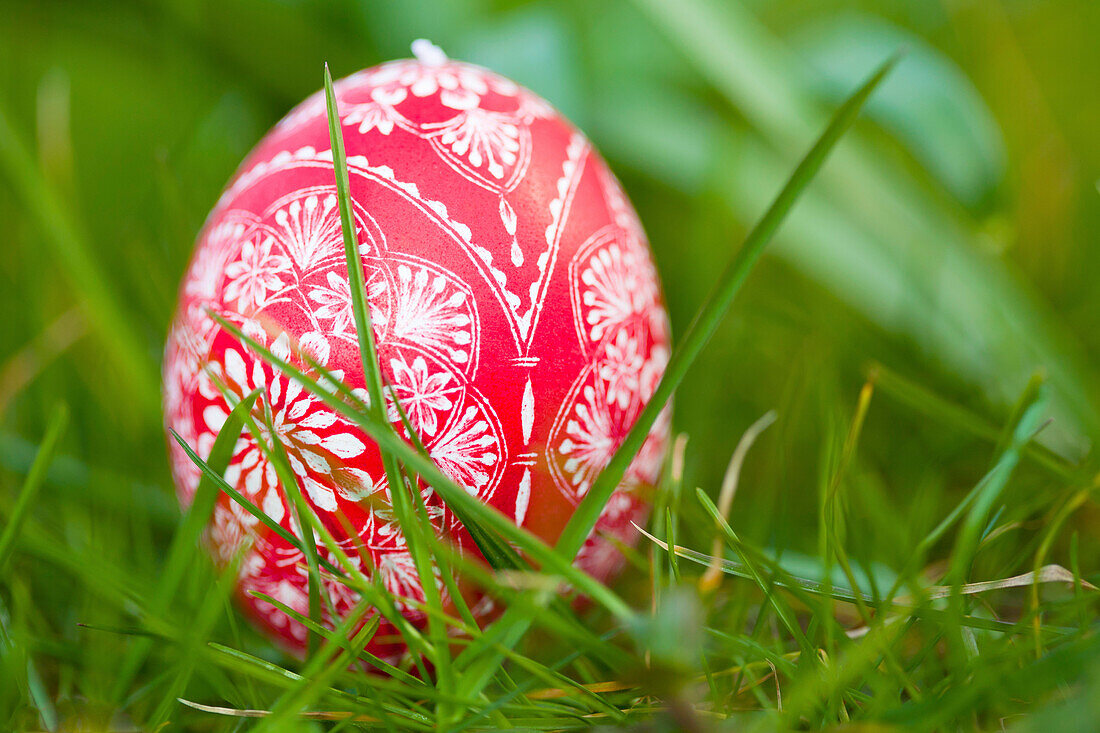 Gekratztes rotes Osterei im Gras, Ostern, Frühling