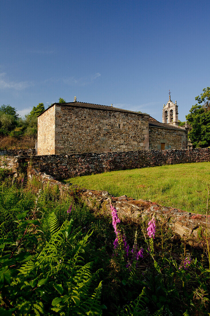 Nespereira, near Portmarin, Camino Frances, Way of St James, Camino de Santiago, pilgrims way, UNESCO World Heritage, European Cultural Route, province of Lugo, Galicia, Northern Spain, Spain, Europe