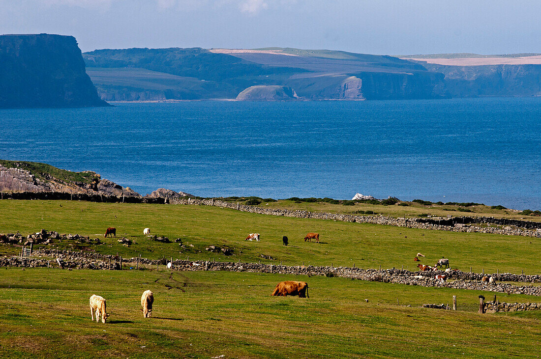coastal scenery near Rosehearty, Aberdeenshire, Scotland