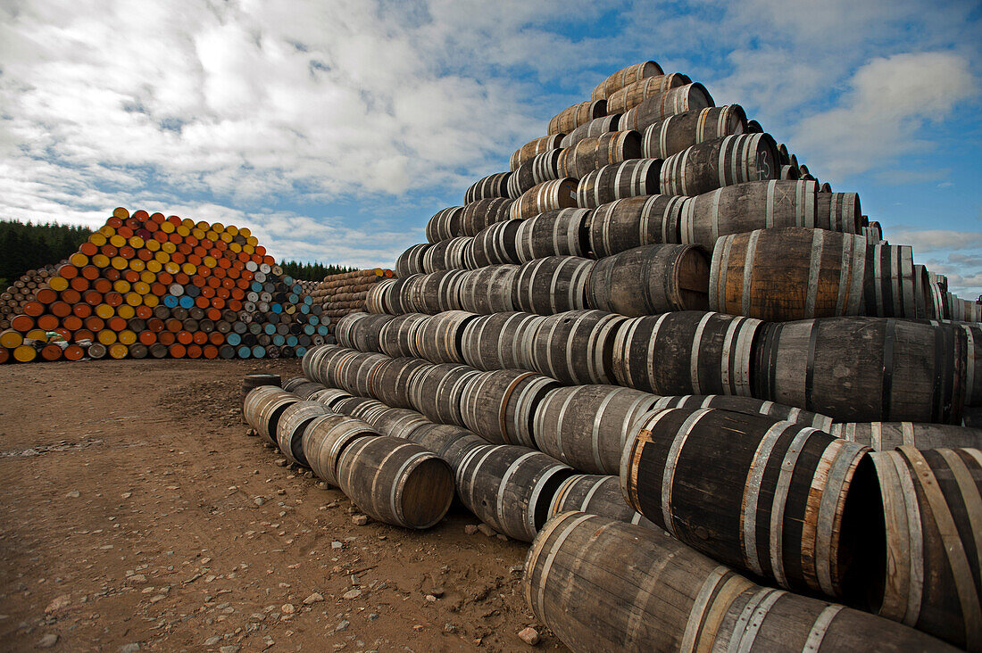 Empty oak barrels at Speyside Cooperage, Craigellachie, Aberdeenshire, Scotland