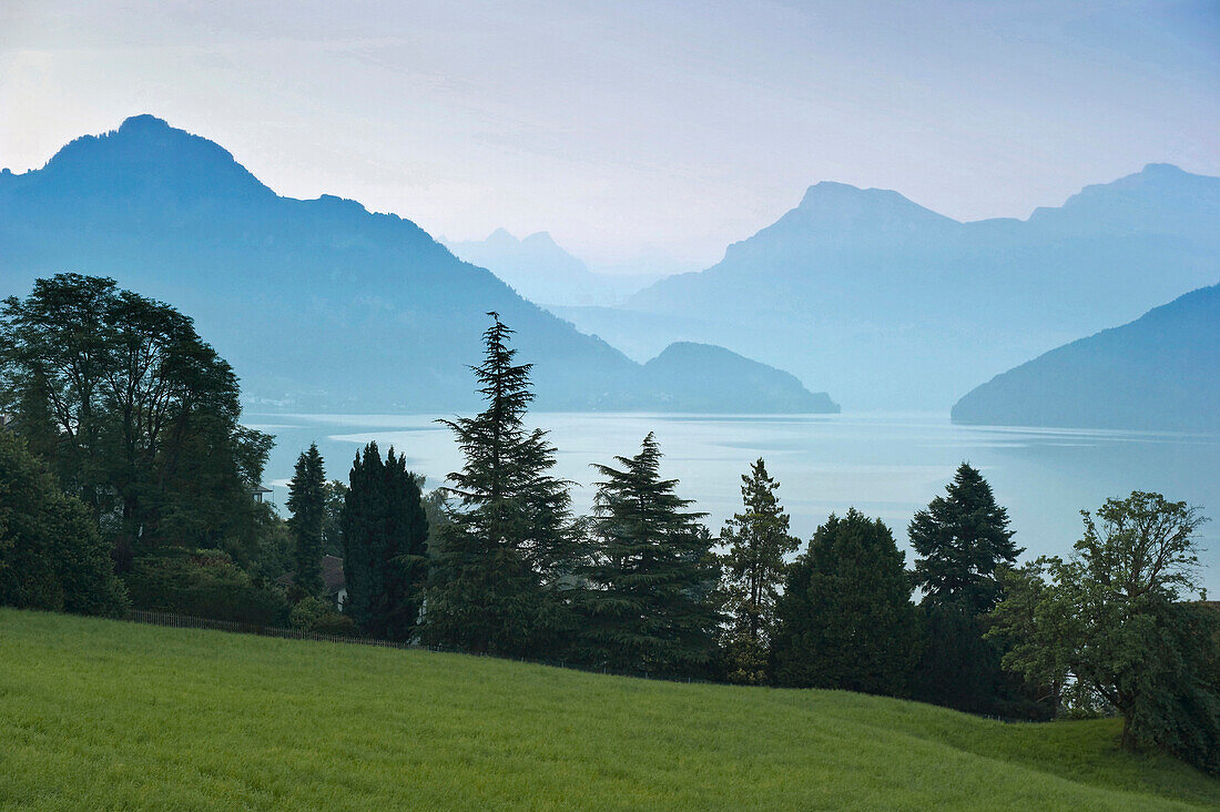 Morgenstimmung am Vierwaldstättersee, Weggis, Kanton Luzern, Schweiz