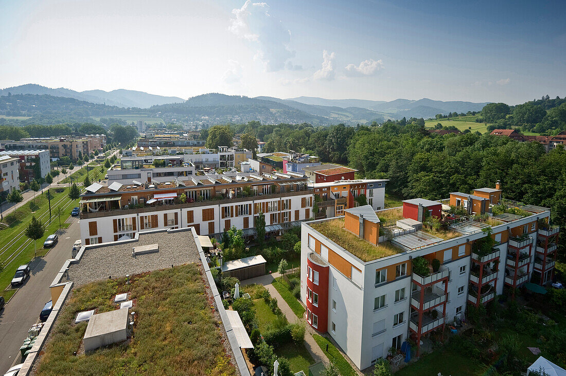 Wohnhäuser mit Grasdächern und Solardächern, Vauban-Viertel, Freiburg im Breisgau, Baden-Württemberg, Deutschland