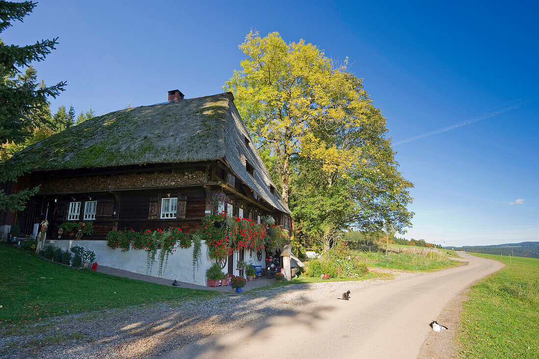 Farmhouse near Sankt Margen, Black Forest, Baden-Wurttemberg, Germany