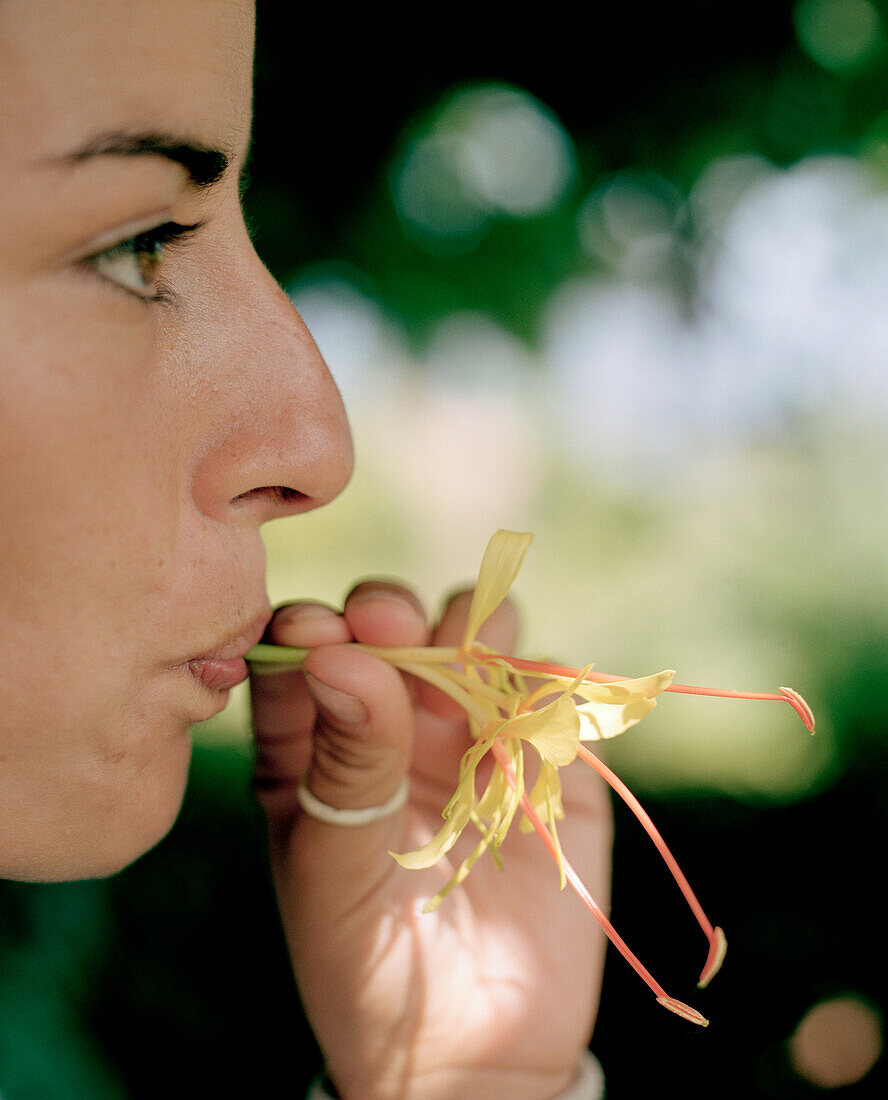 Frau saugt aromatischen Nektar aus der Blüte des Wilden Ingwer, Insel Sao Miguel, Azoren, Portugal