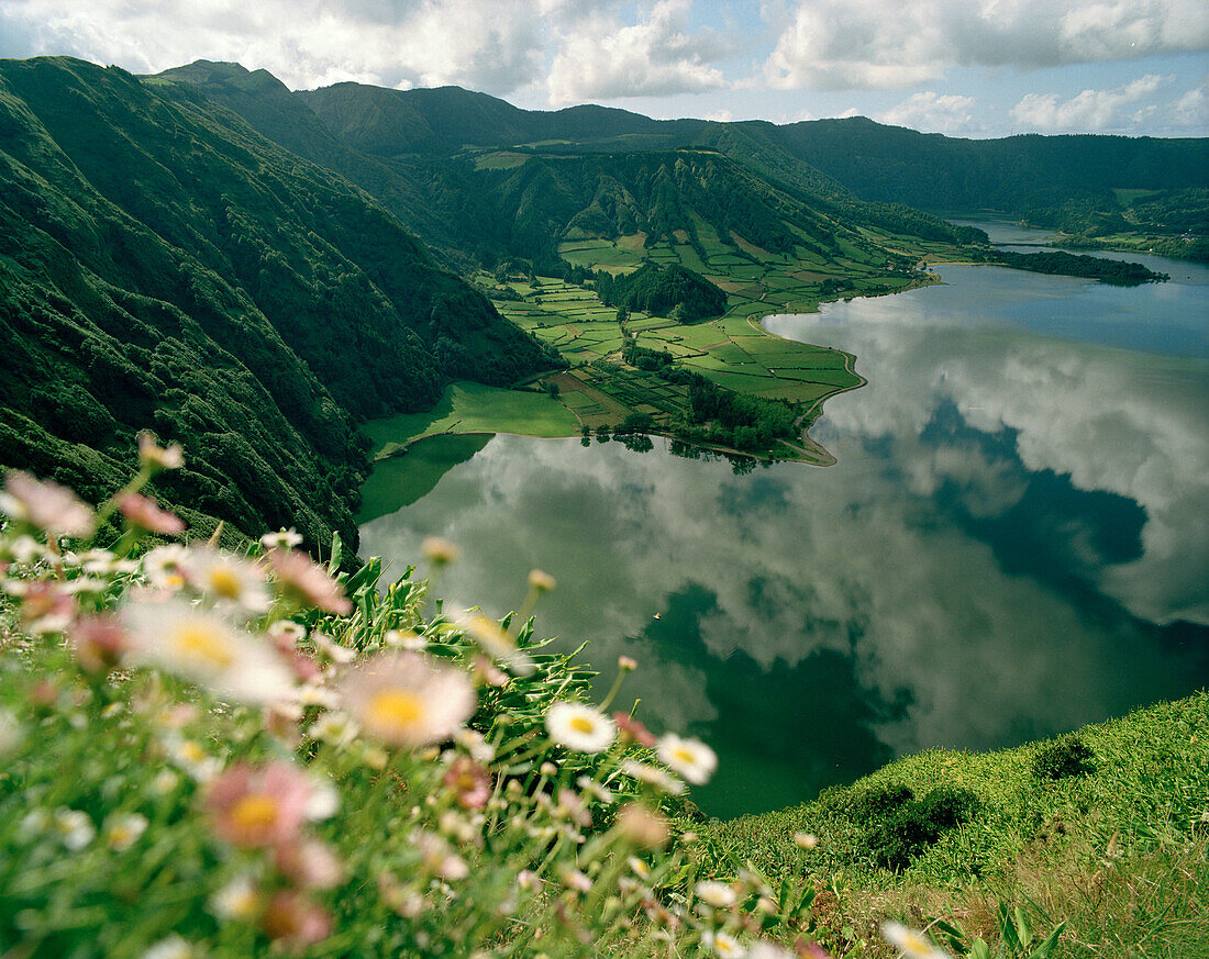 Wilde Blumen am Steilhang des Lagoa Azul, Caldeira das Sete Cidades, Westteil der Insel Sao Miguel, Azoren, Portugal