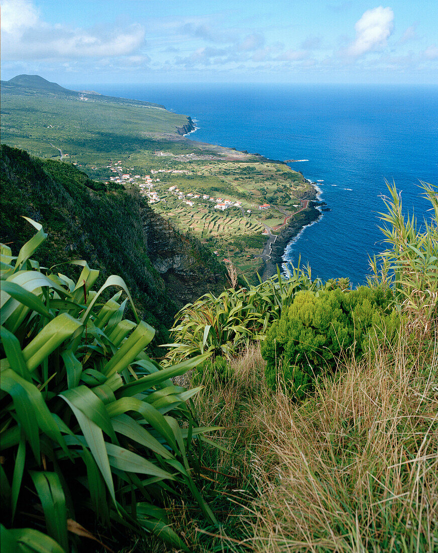 Baia da Ribeira das Cabras, Faial island, Azores, Portugal