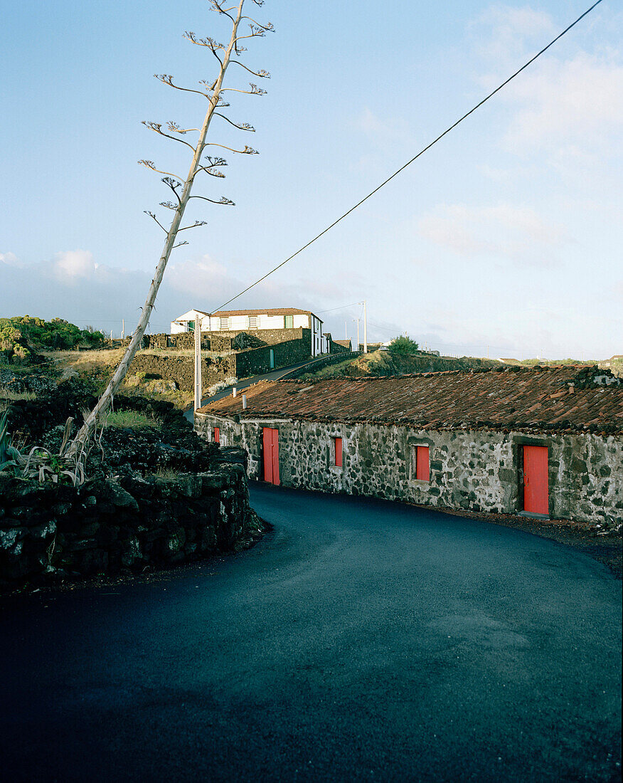 Old stone house, Porto Cachorro, Pico Island, Azores, Portugal