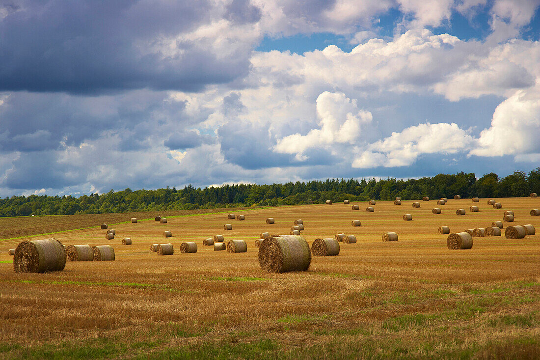 Stubble field near Eckfeld, Eifel, Rhineland-Palatinate, Germany, Europe