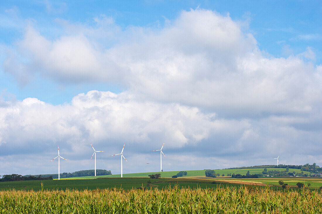 Wind energy near Seinsfeld, Eifel, Rhineland-Palatinate, Germany, Europe