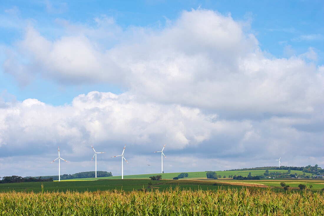 Windräder bei Seinsfeld, Eifel, Rheinland-Pfalz, Deutschland, Europa