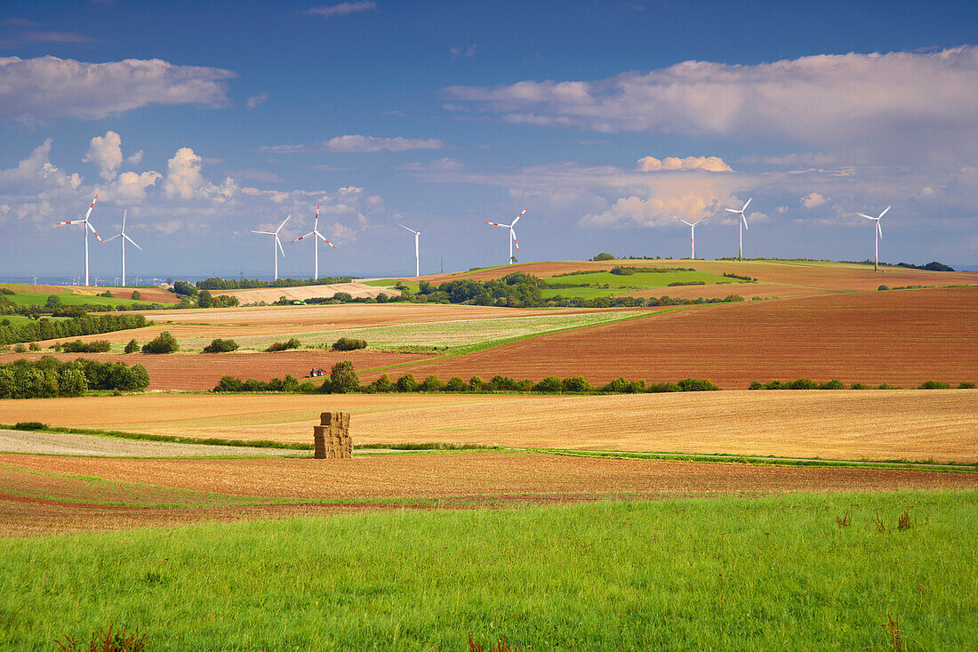 Landscape at Walbig, Agriculture, Eifel, North Rhine-Westfalia, Germany, Europe
