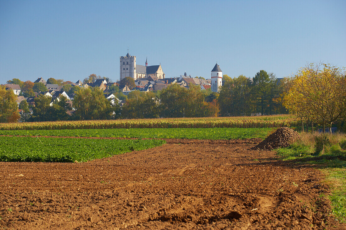 Münstermaifeld mit Stiftskirche, Eifel, Rheinland-Pfalz, Deutschland, Europa