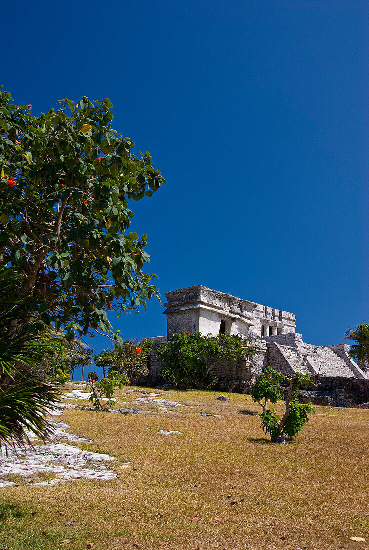 El Castillo Temple, Tulum, Quintana Roo, Mexico