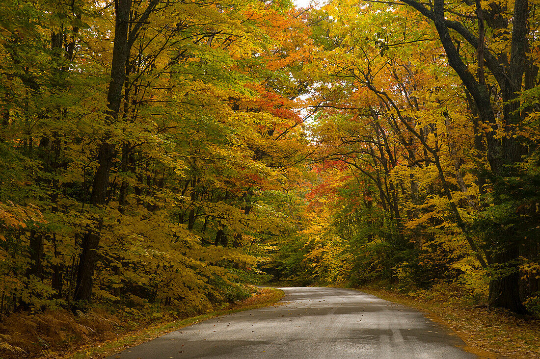 Road through park in autumn, White Mountains National Park, New Hampshire, USA