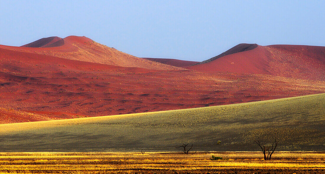 Rote Sanddünen im Sossusvlei, Sossusvlei, Namib Naukluft National Park, Namibwüste, Namib, Namibia, Afrika