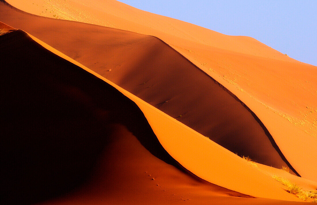 Red sand dunes in Sossusvlei, Sossusvlei, Namib Naukluft National Park, Namib desert, Namib, Namibia, Africa