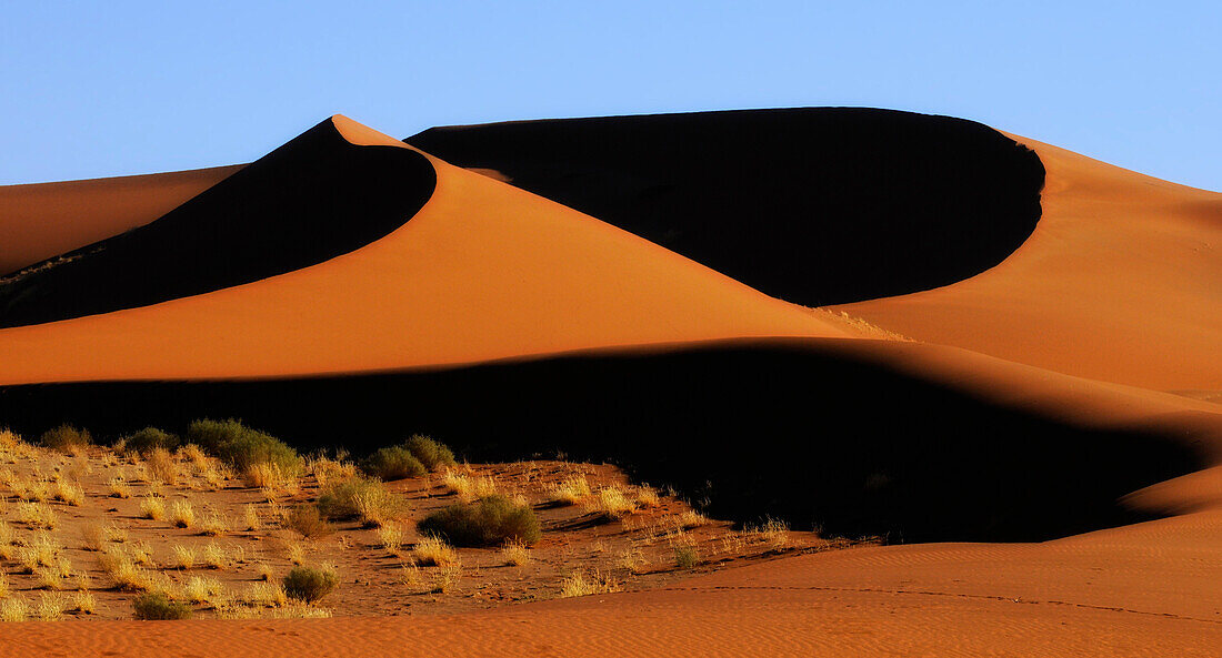 Rote Sanddünen im Sossusvlei, Sossusvlei, Namib Naukluft National Park, Namibwüste, Namib, Namibia, Afrika