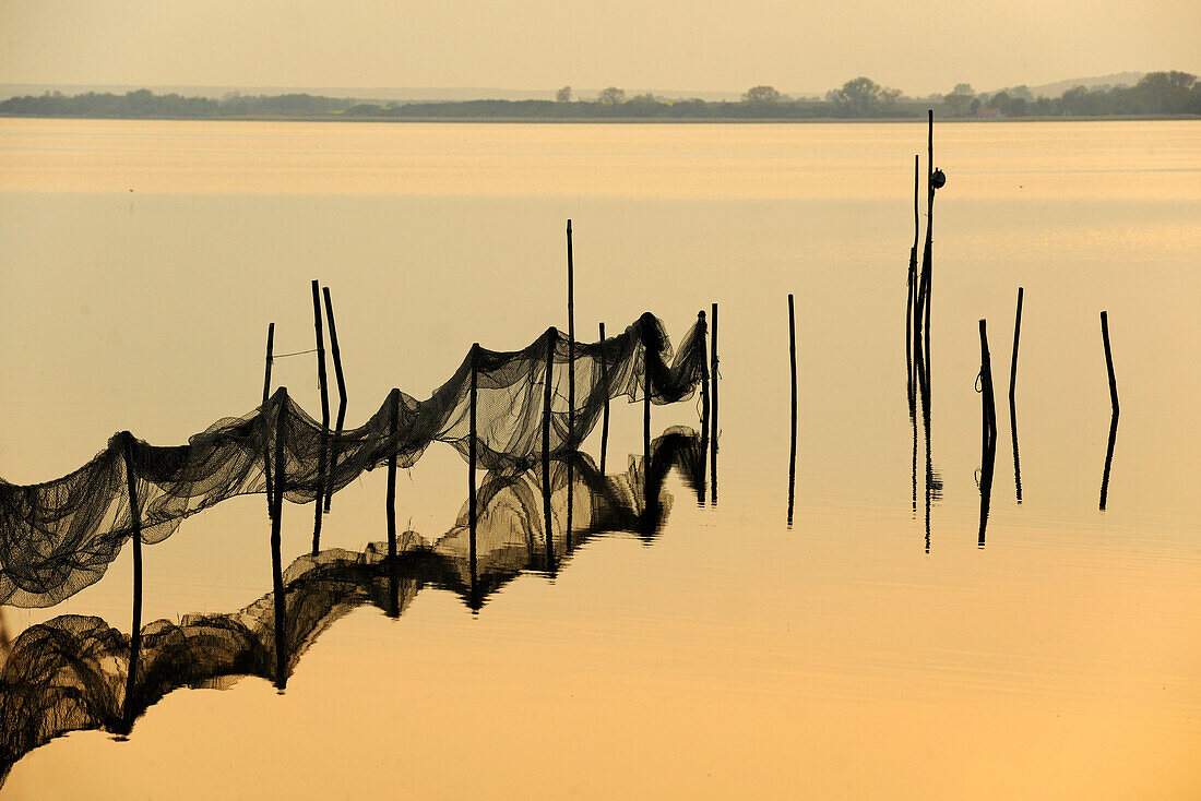 Fishing nets in twilight, Achterwasser, Krummin, Usedom, Mecklenburg-Western Pomerania, Germany