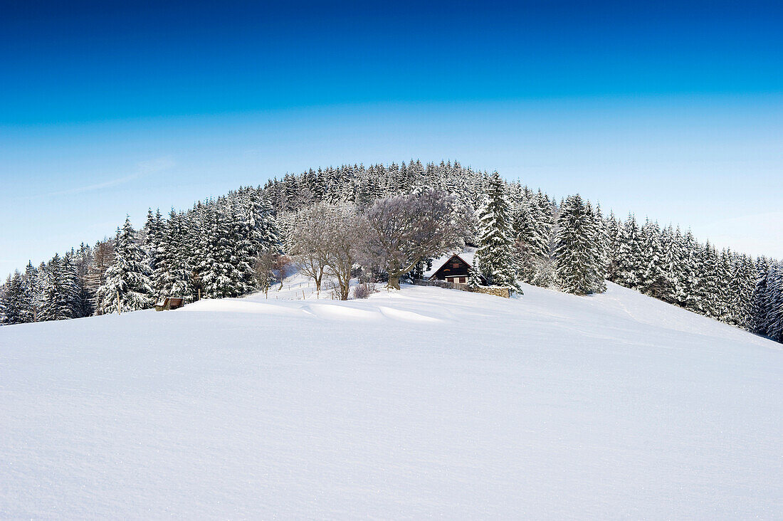 Winter scenery with wooden house, Geiersnest, Bollschweil, Black Forest, Baden-Wurttemberg, Germany